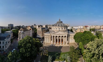 Proiect pentru consolidarea și amenajarea Pinacotecii București