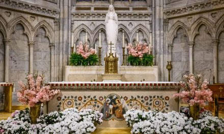 Catedrala Sf. Patrick din New York – cea mai mare catedrală neo-gotică din America de Nord